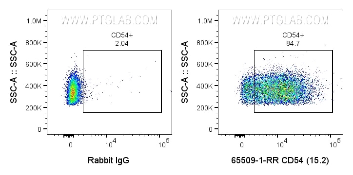 FC experiment of human PBMCs using 65509-1-RR