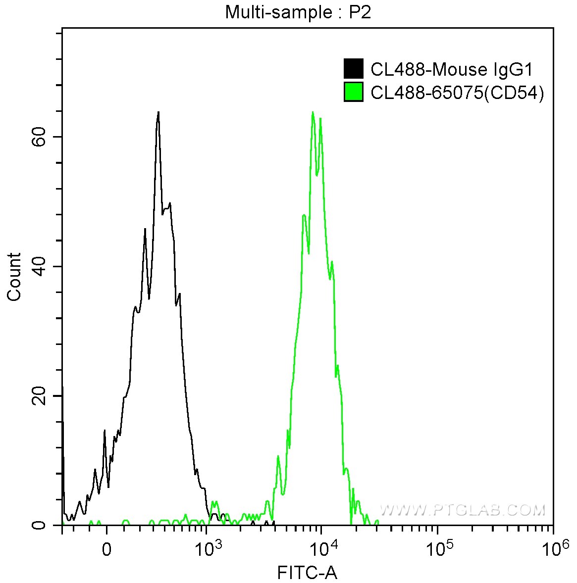 CD54 (ICAM-1)