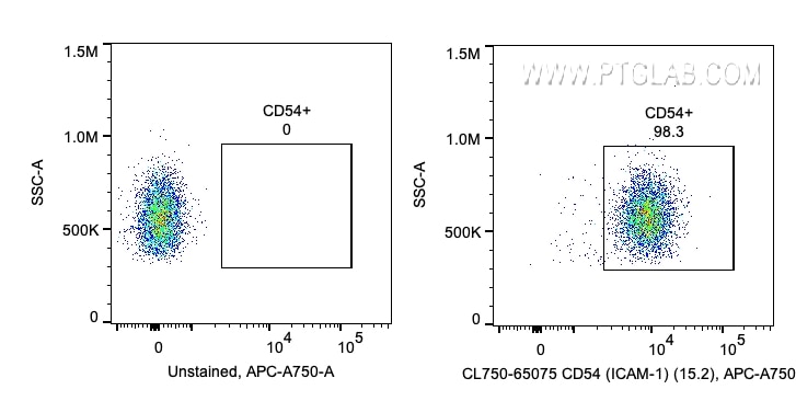 CD54 (ICAM-1)