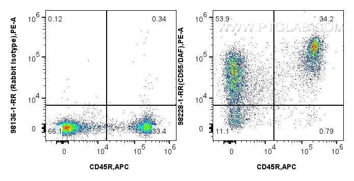Flow cytometry (FC) experiment of mouse splenocytes using Anti-Mouse CD55 Rabbit Recombinant Antibody (98228-1-RR)