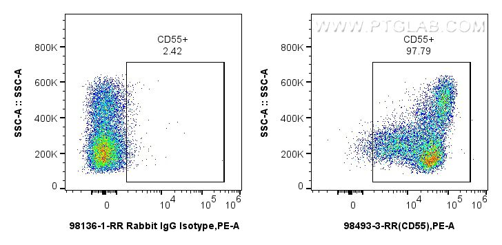 FC experiment of human PBMCs using 98493-3-RR Flow cytometry (FC) experiment of human PBMCs using Anti-Human CD55 Rabbit Recombinant Antibody (98493-3-RR)