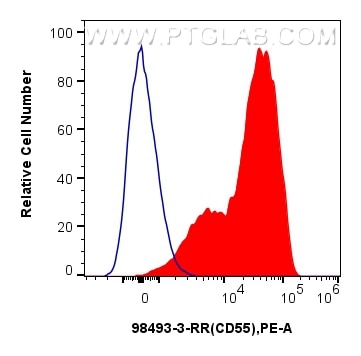 FC experiment of human PBMCs using 98493-3-RR Flow cytometry (FC) experiment of human PBMCs using Anti-Human CD55 Rabbit Recombinant Antibody (98493-3-RR)