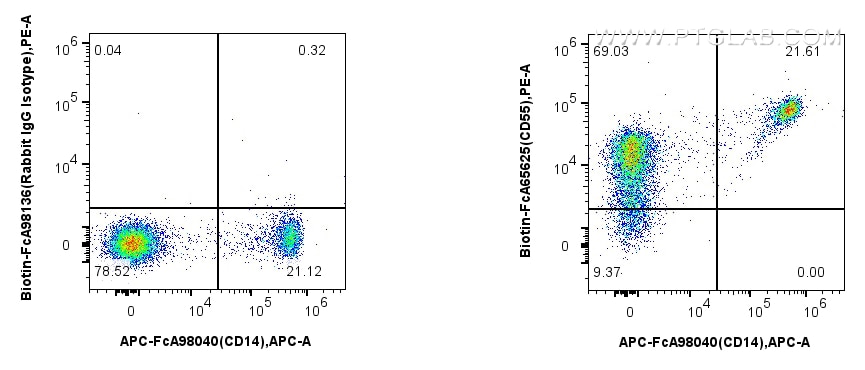 Flow cytometry (FC) experiment of human PBMCs using FcZero-rAb™ Biotin Anti-Human CD55 (JS11) Rabbit I (Biotin-FcA65625)