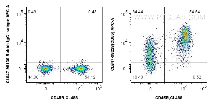 Flow cytometry (FC) experiment of mouse splenocytes using CoraLite® Plus 647 Anti-Mouse CD55 Rabbit Recombin (CL647-98228)
