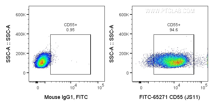 Flow cytometry (FC) experiment of human PBMCs using FITC Plus Anti-Human CD55 (JS11) (FITC-65271)