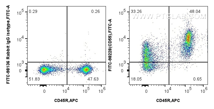Flow cytometry (FC) experiment of mouse splenocytes using FITC Plus Anti-Mouse CD55 Rabbit Recombinant Antib (FITC-98228)