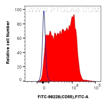 Flow cytometry (FC) experiment of mouse splenocytes using FITC Plus Anti-Mouse CD55 Rabbit Recombinant Antib (FITC-98228)