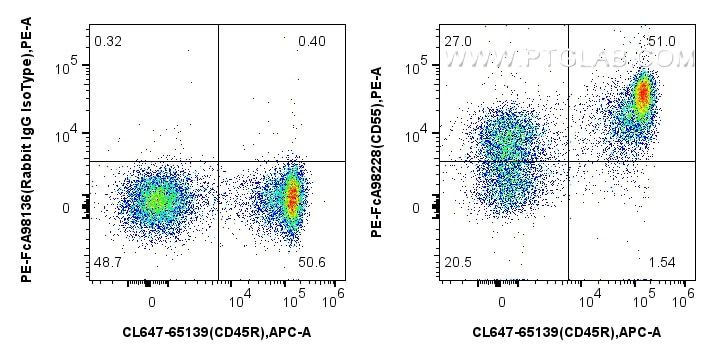 Flow cytometry (FC) experiment of mouse splenocytes using FcZero-rAb™ PE Anti-Mouse CD55 Rabbit Recombinant  (PE-FcA98228)