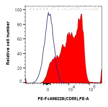 Flow cytometry (FC) experiment of mouse splenocytes using FcZero-rAb™ PE Anti-Mouse CD55 Rabbit Recombinant  (PE-FcA98228)