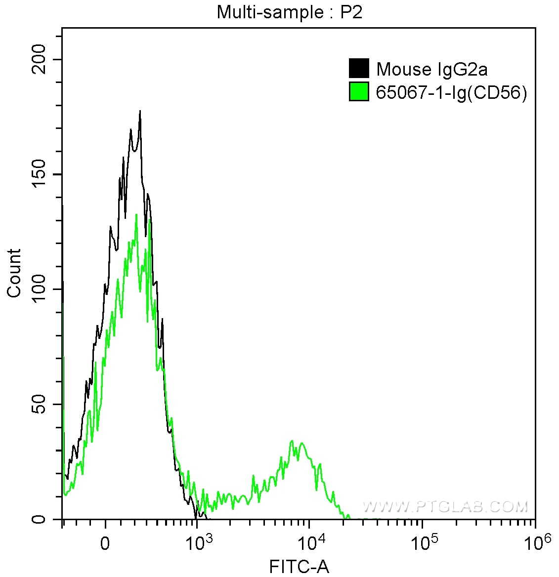 FC experiment of human peripheral blood lymphocytes using 65067-1-Ig