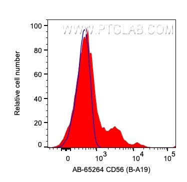 CD56