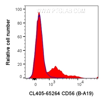 CD56