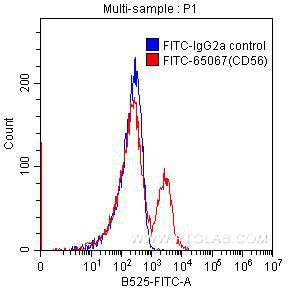 Flow cytometry (FC) experiment of human peripheral blood lymphocytes using FITC Anti-Human CD56 (MEM 188) (FITC-65067)
