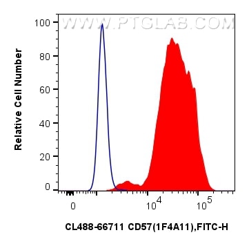 Flow cytometry (FC) experiment of K-562 cells using CoraLite® Plus 488-conjugated CD57 Monoclonal anti (CL488-66711)