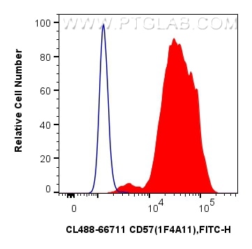 CD57