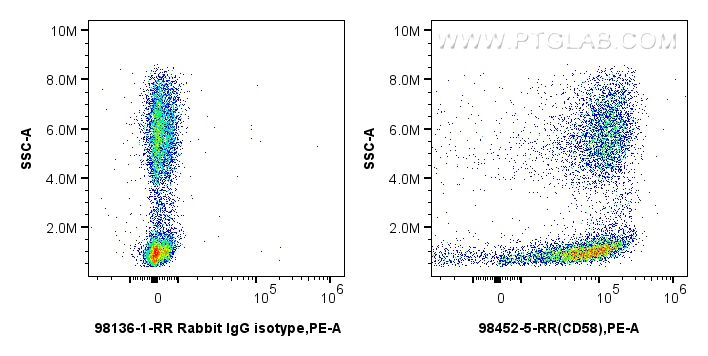 Flow cytometry (FC) experiment of human peripheral blood leukocyte using Anti-Human CD58 Rabbit Recombinant Antibody (98452-5-RR)