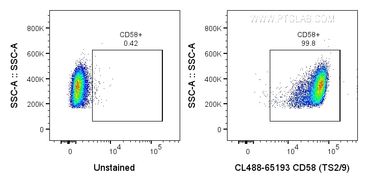 Flow cytometry (FC) experiment of human PBMCs using CoraLite® Plus 488 Anti-Human CD58 (TS2/9) (CL488-65193)