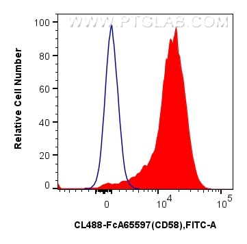 1x10^6 human peripheral blood leukocytes were surface stained with 5 ul CoraLite® Plus 488 Anti-Human CD58 (TS2/9) Rabbit IgG RecAb (CL488-FcA65597, Clone: TS2/9) (red) or FcZero-rAb™ CoraLite® Plus 488 Rabbit IgG Isotype Control Recombinant Antibody (CL488-FcA98136, Clone: 240953C9) (blue). Cells were not fixed. Flow cytometry (FC) experiment of human peripheral blood leukocytes using FcZero-rAb™ CoraLite® Plus 488 Anti-Human CD58 (TS (CL488-FcA65597)