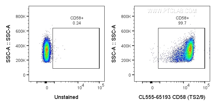 Flow cytometry (FC) experiment of human PBMCs using CoraLite® Plus 555 Anti-Human CD58 (TS2/9) (CL555-65193)