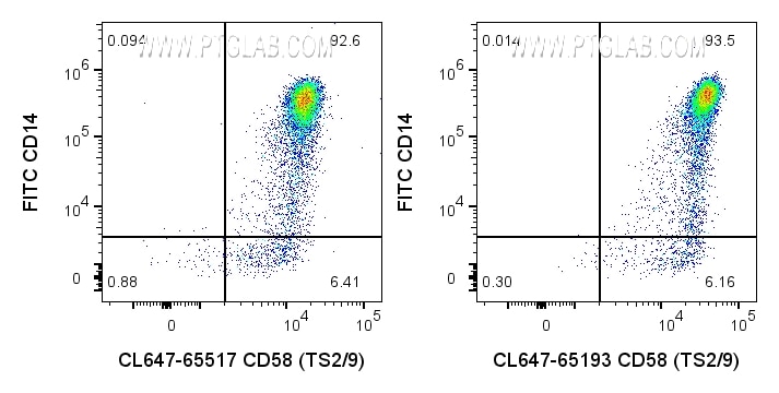 CD58