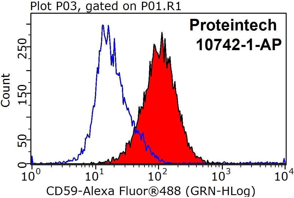 CD59 Polyclonal antibody