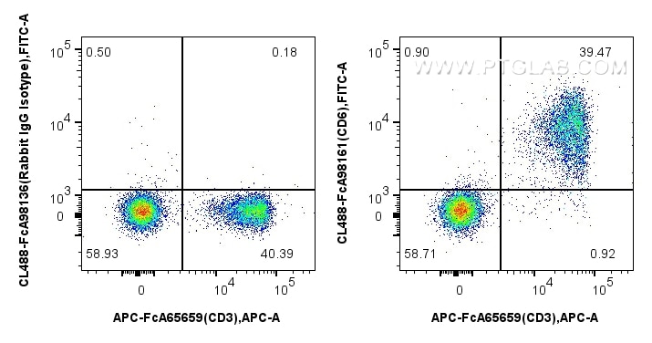 FC experiment of mouse splenocytes using CL488-FcA98161 Flow cytometry (FC) experiment of mouse splenocytes using FcZero-rAb® CoraLite® Plus 488 Anti-Mouse CD6 Rabb (CL488-FcA98161)