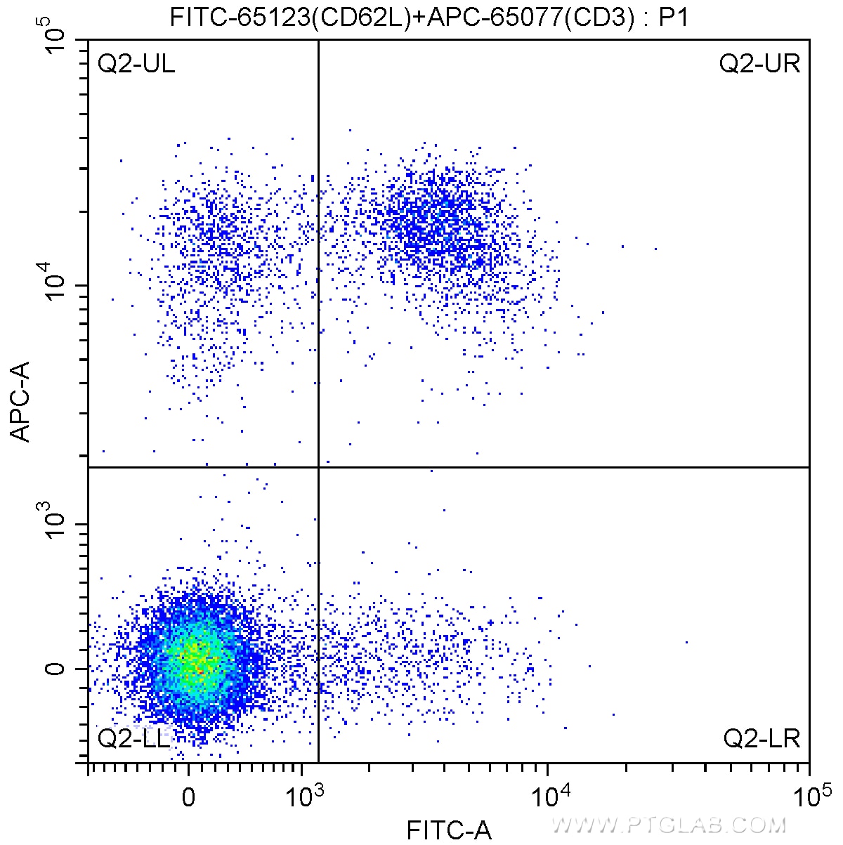 Flow cytometry (FC) experiment of mouse splenocytes using FITC Anti-Mouse CD62L (L-Selectin) (MEL-14) (FITC-65123)