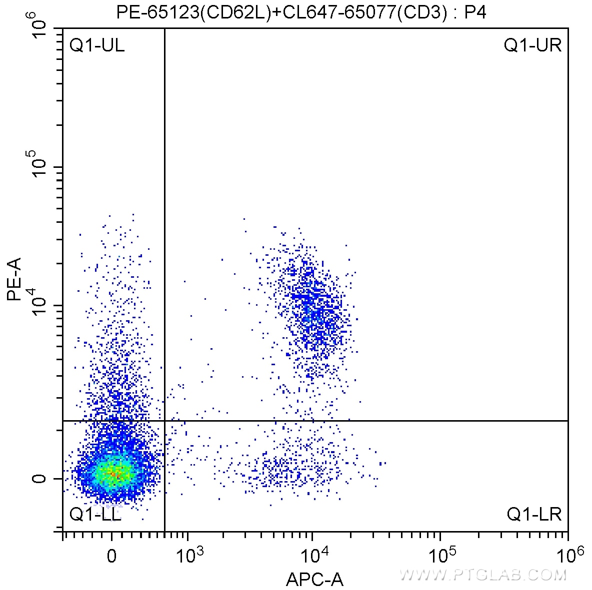 Flow cytometry (FC) experiment of mouse splenocytes using PE Anti-Mouse CD62L (L-Selectin) (MEL-14) (PE-65123)
