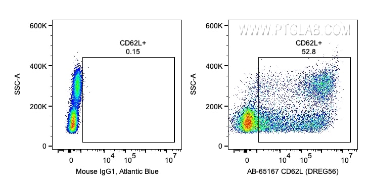 Flow cytometry (FC) experiment of human PBMCs using Atlantic Blue™ Anti-Human CD62L (DREG56) (AB-65167)