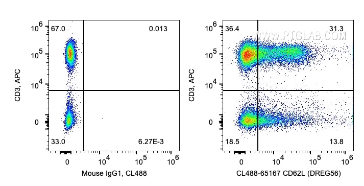 Flow cytometry (FC) experiment of human PBMCs using CoraLite® Plus 488 Anti-Human CD62L (DREG56) (CL488-65167)