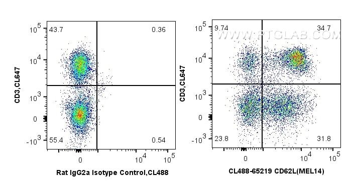 FC experiment of mouse splenocytes using CL488-65219