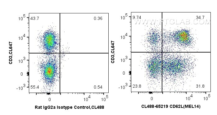 FC experiment of mouse splenocytes using CL488-65219