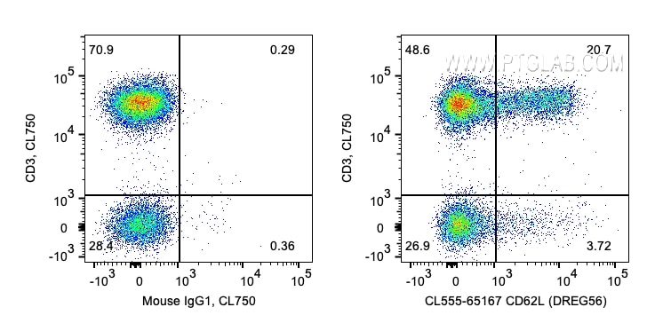 Flow cytometry (FC) experiment of human PBMCs using CoraLite® Plus 555 Anti-Human CD62L (DREG56) (CL555-65167)