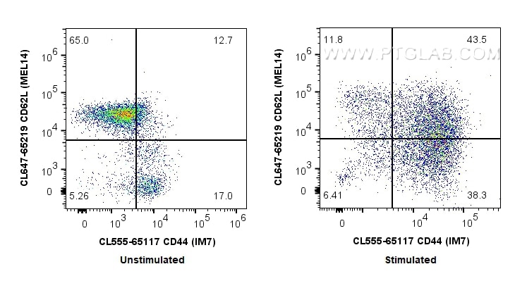 Flow cytometry (FC) experiment of BALB/c mouse splenocytes using CoraLite® Plus 647 Anti-Mouse CD62L (MEL14) (CL647-65219)