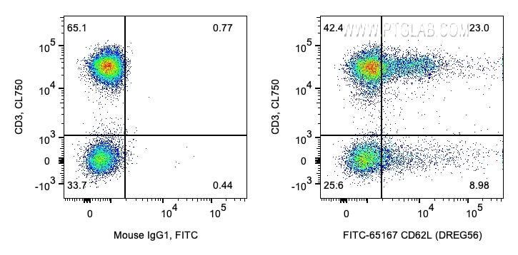 FC experiment of human PBMCs using FITC-65167