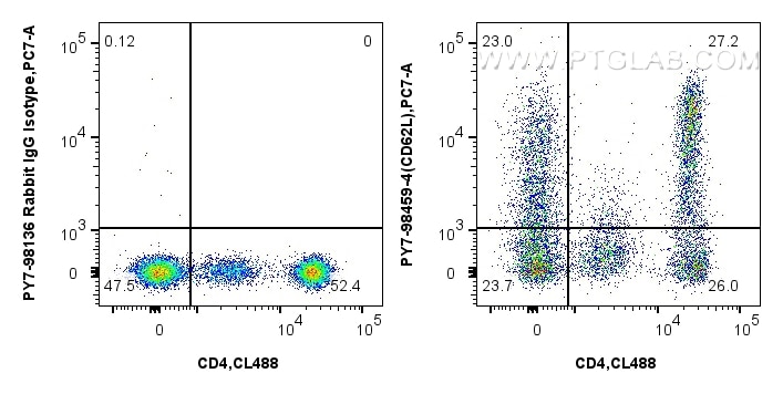 FC experiment of human PBMCs using PY7-98459-4 Flow cytometry (FC) experiment of human PBMCs using PE-Cyanine7 Anti-Human CD62L Rabbit Recombinant An (PY7-98459-4)