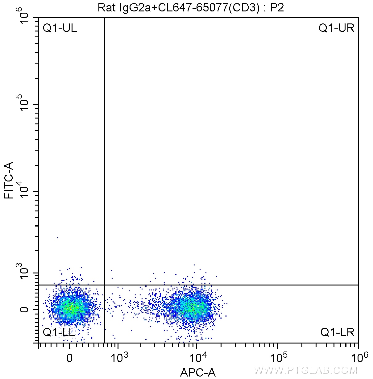 FC experiment of mouse splenocytes using 65123-1-Ig