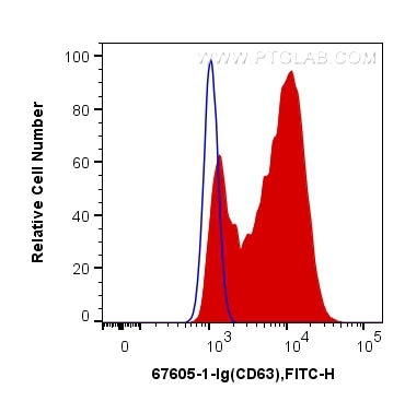 FC experiment of THP-1 using 67605-1-Ig