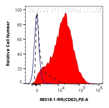 CD63