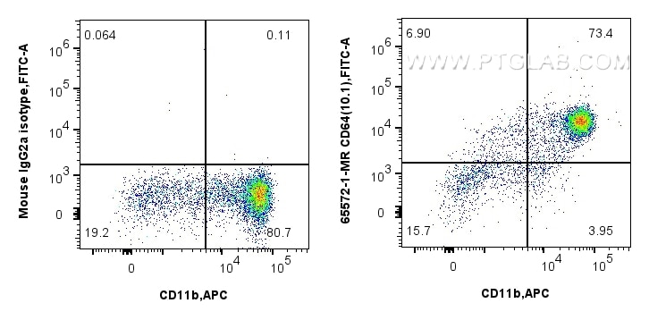 Flow cytometry (FC) experiment of human PBMCs using Anti-Human CD64 (10.1) Mouse Recombinant Antibody (65572-1-MR)