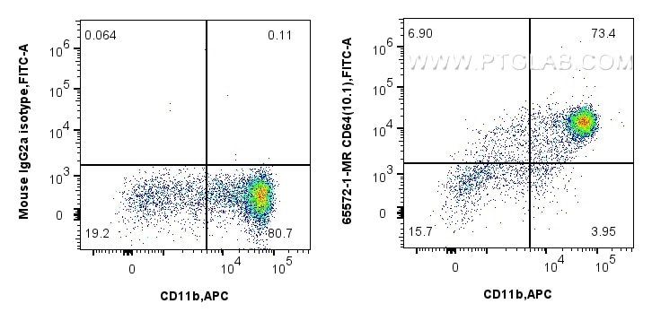  CD64