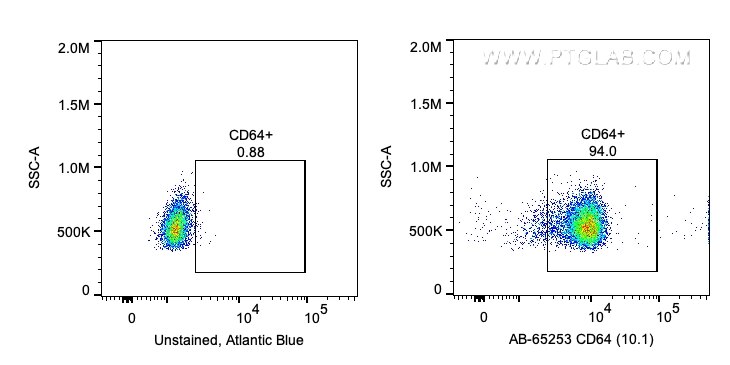 Flow cytometry (FC) experiment of human PBMCs using Atlantic Blue™ Anti-Human CD64 (10.1) (AB-65253)