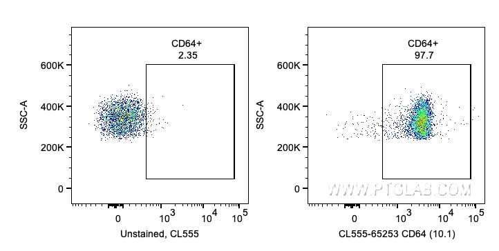 FC experiment of human PBMCs using CL555-65253