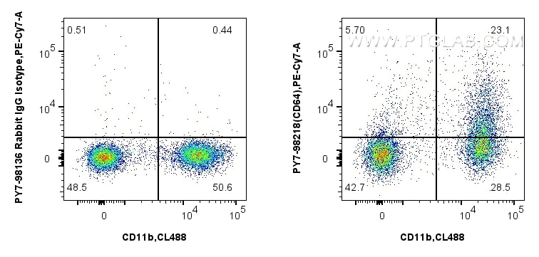 FC experiment of mouse bone marrow cells using PY7-98218 Flow cytometry (FC) experiment of mouse bone marrow cells using PE-Cyanine7 Anti-Mouse CD64 Rabbit Recombinant Ant (PY7-98218)