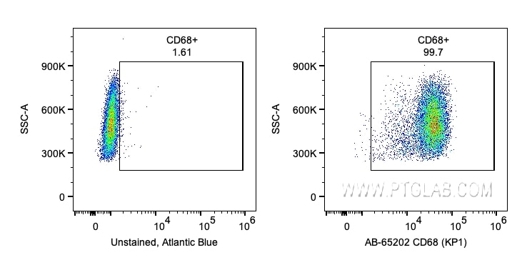 FC experiment of human PBMCs using AB-65202