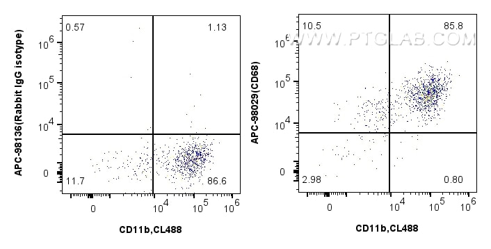 Flow cytometry (FC) experiment of mouse peritoneal macrophages using APC Anti-Mouse CD68 Rabbit Recombinant Antibody (APC-98029)