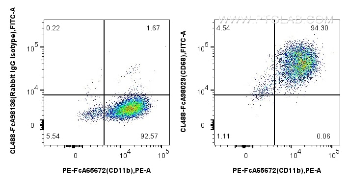 Flow cytometry (FC) experiment of mouse peritoneal macrophages using FcZero-rAb® CoraLite® Plus 488 Anti-Mouse CD68 Rab (CL488-FcA98029)