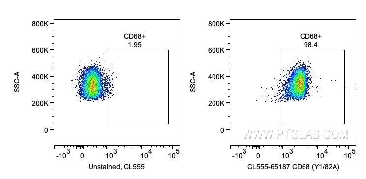 CD68