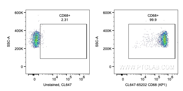 CD68