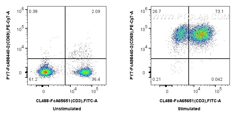 FC experiment of mouse splenocytes using PY7-FcA98440-2 Flow cytometry (FC) experiment of mouse splenocytes using FcZero-rAb® PE-Cyanine7 Anti-Mouse CD69 Rabbit Rec (PY7-FcA98440-2)